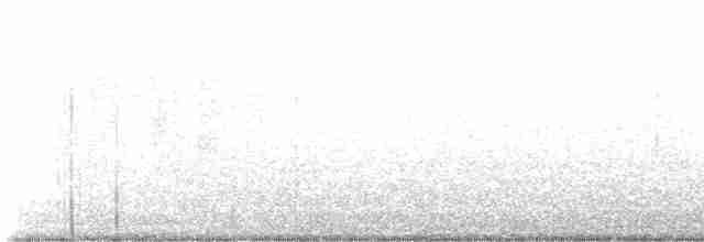 Дрізд-короткодзьоб Cвенсона - ML618353817