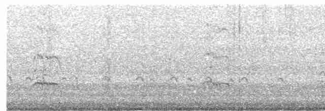 Royal Tern - ML618353821