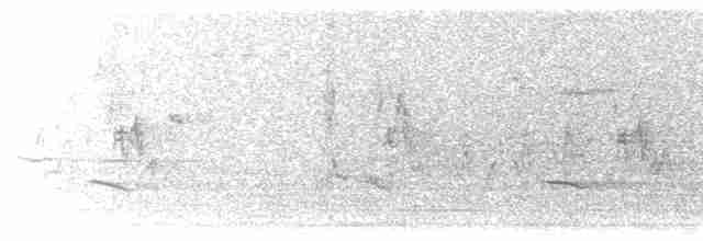 Малая воробьиная овсянка - ML618354454