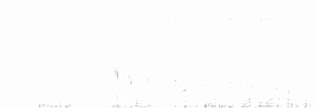 Yellow-eyed Babbler - ML618354904