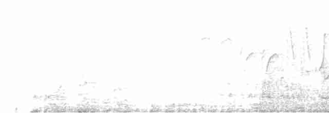 White-breasted Waterhen - ML618354961