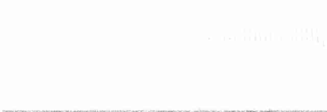 Paruline vermivore - ML618355094
