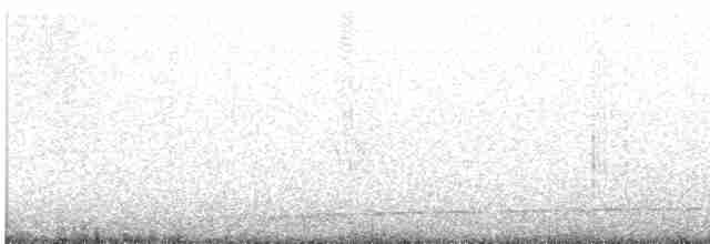 Шилоклювый дятел (auratus/luteus) - ML618355364
