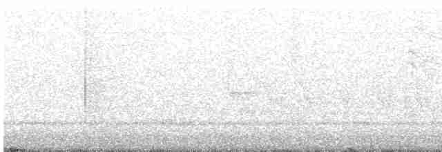 Каролинский крапивник - ML618355667