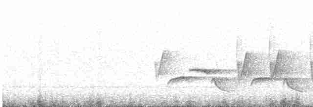 Каролинский крапивник - ML618355669