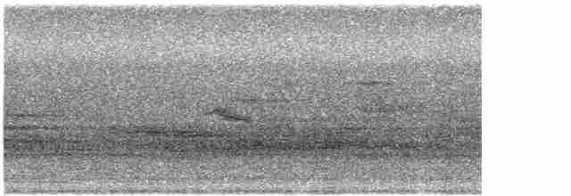 Gri Yanaklı Bülbül Ardıcı - ML618355799