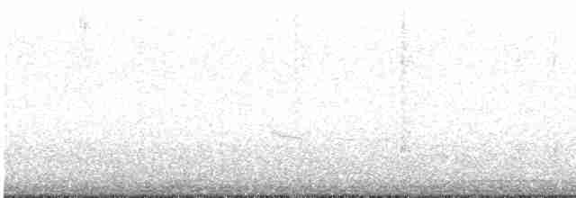 Münzevi Bülbül Ardıcı - ML618355895
