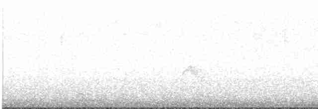 Gri Yanaklı Bülbül Ardıcı - ML618355898