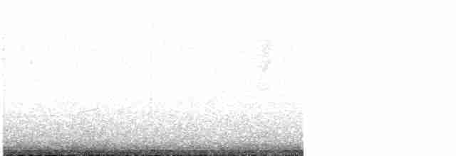 Common Yellowthroat - ML618355982