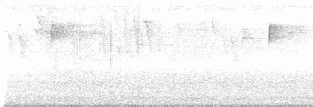 Cerulean Warbler - ML618356386