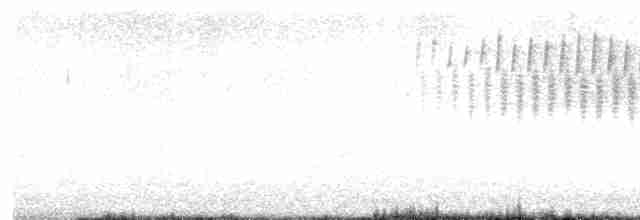 Малая воробьиная овсянка - ML618356391