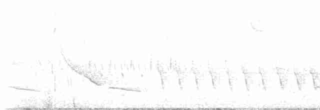 Белогорлая зонотрихия - ML618356644