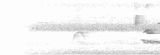 White-naped Brushfinch - ML618356655