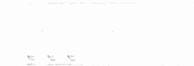 Andamanennachtschwalbe - ML618356898