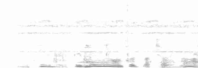 Андаманская иглоногая сова - ML618356914