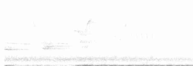Turuncu Ardıç - ML618357064