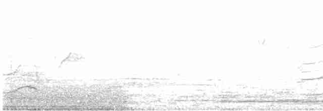 Зозуля білогорла - ML618357292
