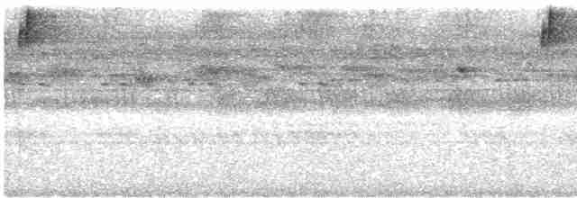 Сова-голконіг брунатна - ML618357663