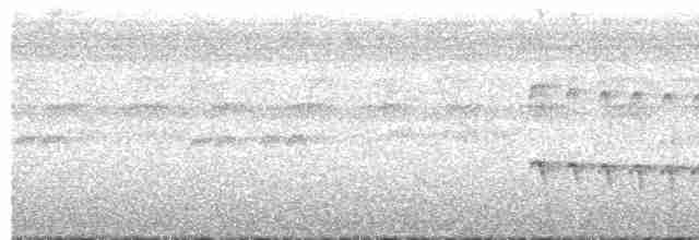 Weißstirn-Ameisenschnäpper - ML618357837