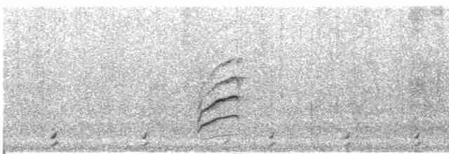 pěnicovec krátkoocasý [skupina brevicaudata] - ML618357950