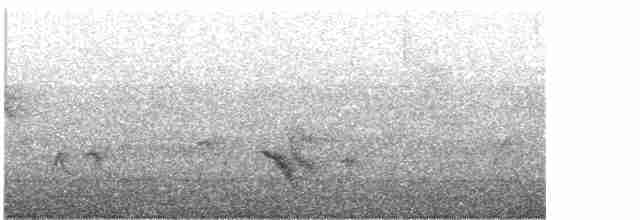 Дрізд-короткодзьоб бурий - ML618357955