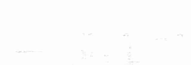 Кратеропа сіролоба - ML618358054