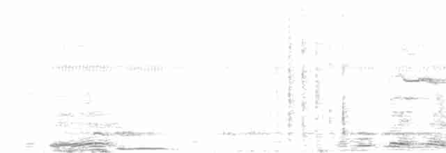 Hint Küpeli Çiğdecisi - ML618358121