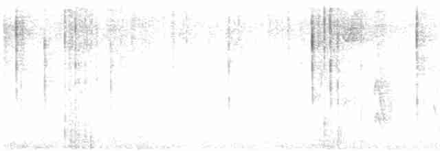Юнко сірий [група oreganus] - ML618358317