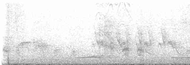Kestane Kanatlı Tepeli Guguk - ML618358743