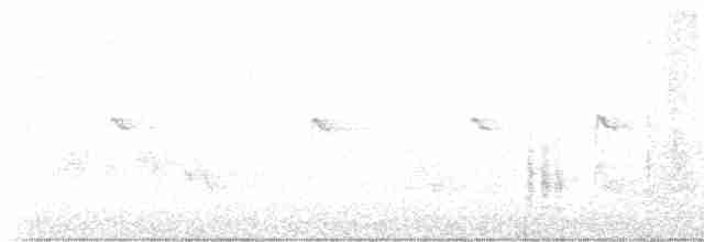 Sperlingsvogel, unbestimmt - ML618358846