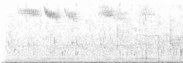 Weißbrauendrossel - ML618358871