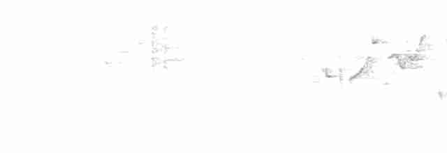 Орел-карлик малий - ML618360679
