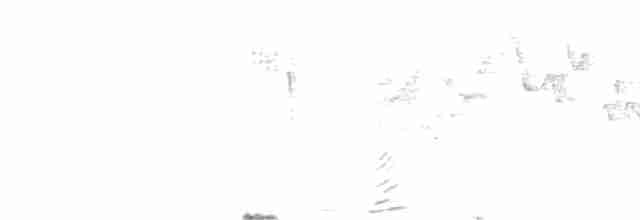 Büyük Islıkçı Bülbülü - ML618360956