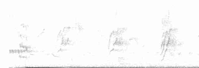 דררה אלכסנדרית (פליטת שבי) - ML618361138