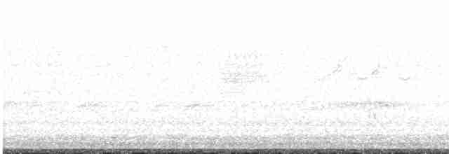 Einsiedelwasserläufer - ML618361220
