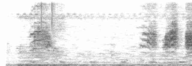 Nil Kamışçını - ML618361987