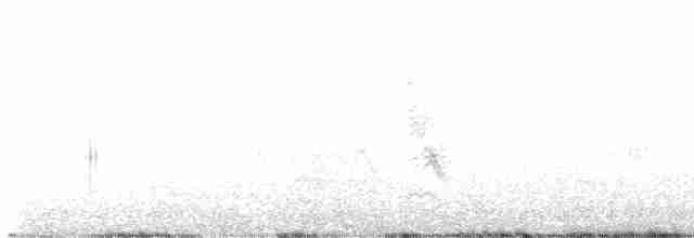 Eurasian Oystercatcher - ML618364120