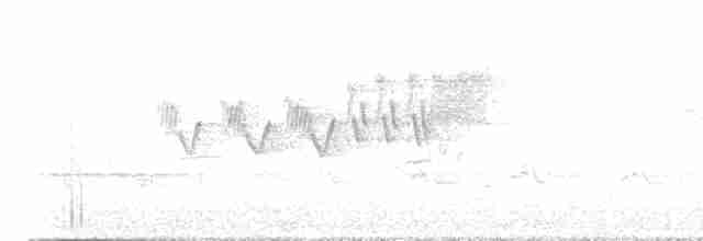 Cerulean Warbler - ML618364594