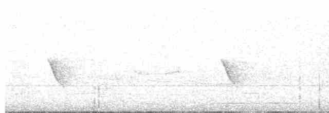 Tawny-breasted Wren-Babbler - ML618365291