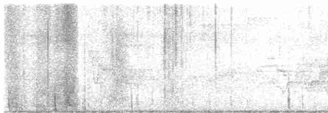 Дрізд-короткодзьоб бурий - ML618365311