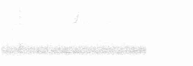 strnadec bělopásý - ML618365361