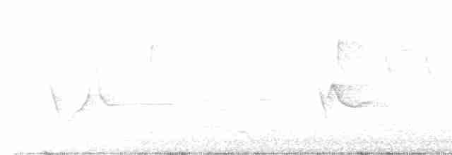 Сероголовый виреон - ML618365436