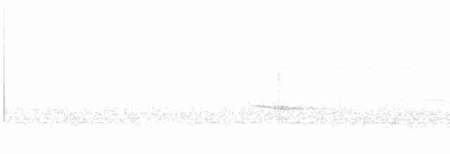 Münzevi Bülbül Ardıcı - ML618365536