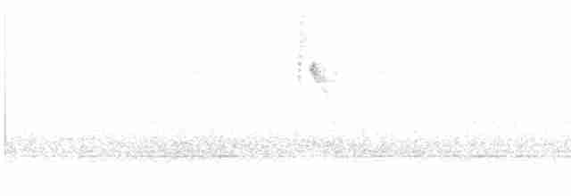 Sperlingsvogel, unbestimmt - ML618365571