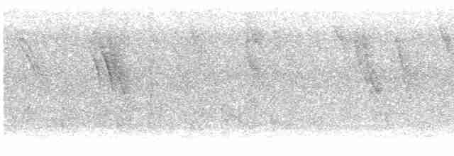 snovač černohlavý - ML618365619