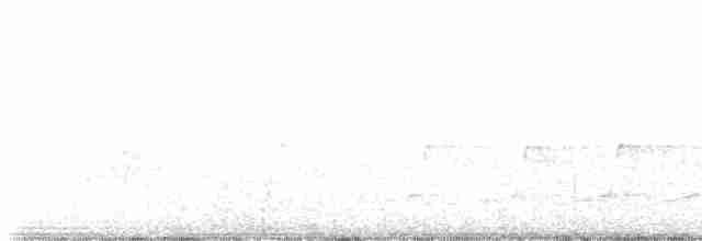 Kara Kanatlı Piranga - ML618365623