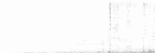 Kara Kanatlı Piranga - ML618366011