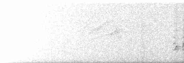 Тремблер прямодзьобий - ML618366953
