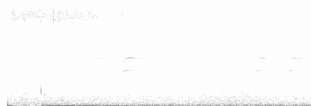 křivka bělokřídlá - ML618367663