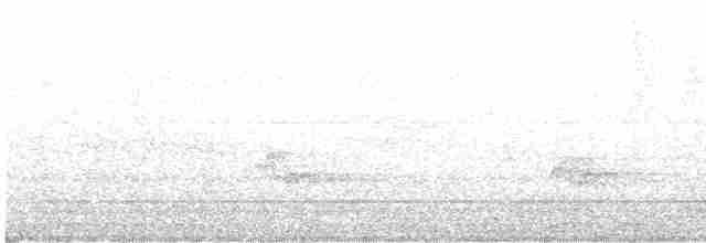 Атласная нектарница - ML618367788